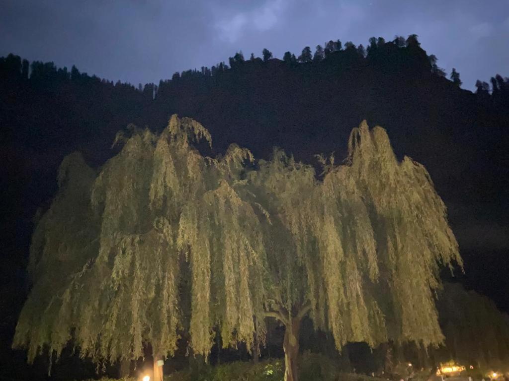 Solang Valley Resort Манали Экстерьер фото